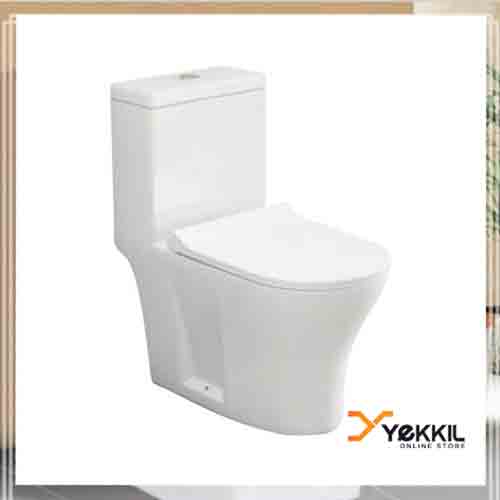 Sanitaryware Single piece Toilets