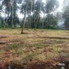 Land for sale is suitable for commercial buildings
