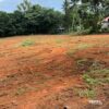 Plot of land for Sale in Vandannoor Neyyattinkara Tvpm