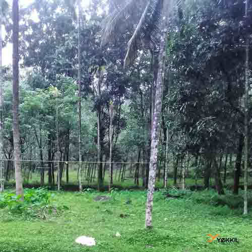 The plot of land for sale in Kozhikode,
